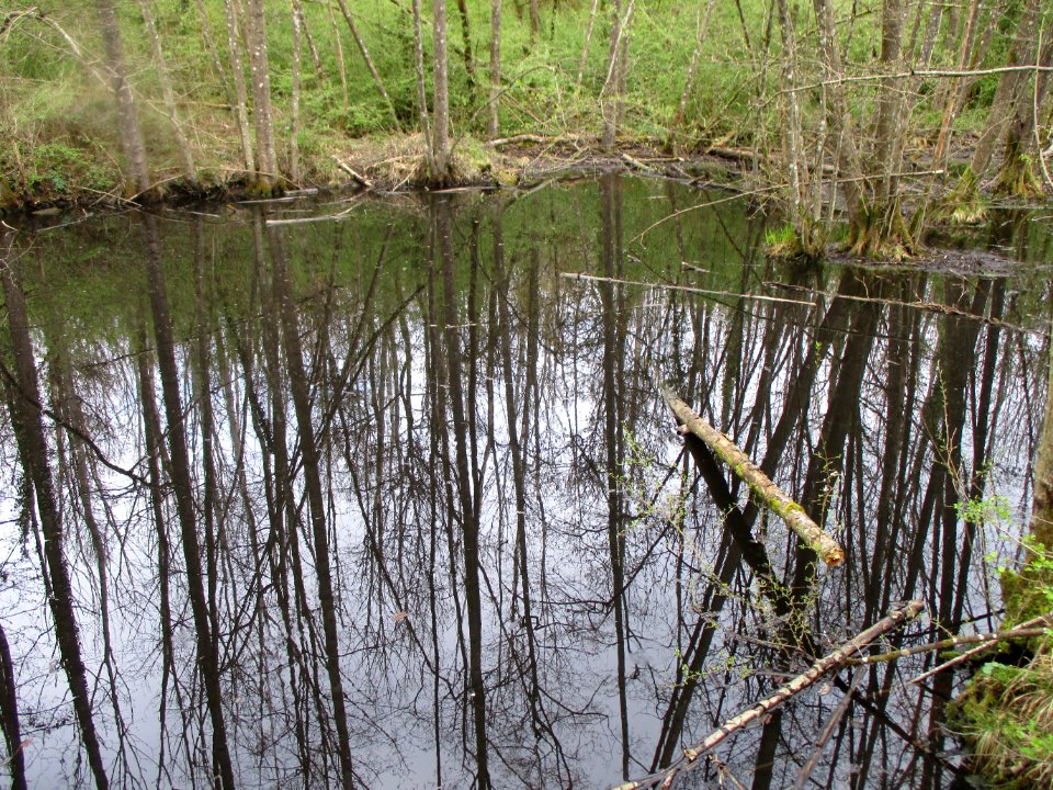 20210414Meerwald