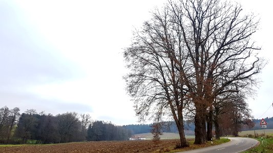 20201206_ND_Klebinger_Schlossallee_Pleisk2