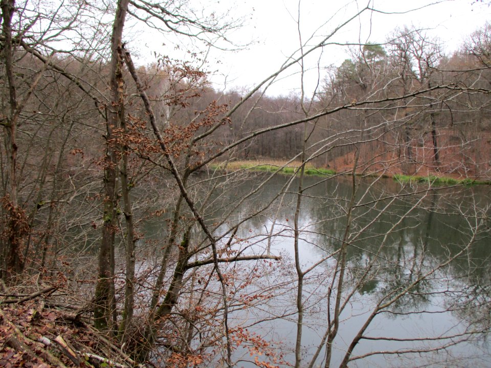 20201210Unterer_Steinbachweiher