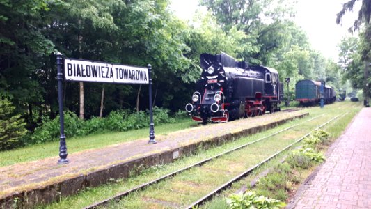 20210612_173733_June_2021_in_Białowieża