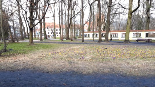 20210328_145418_March_2021_in_Białystok