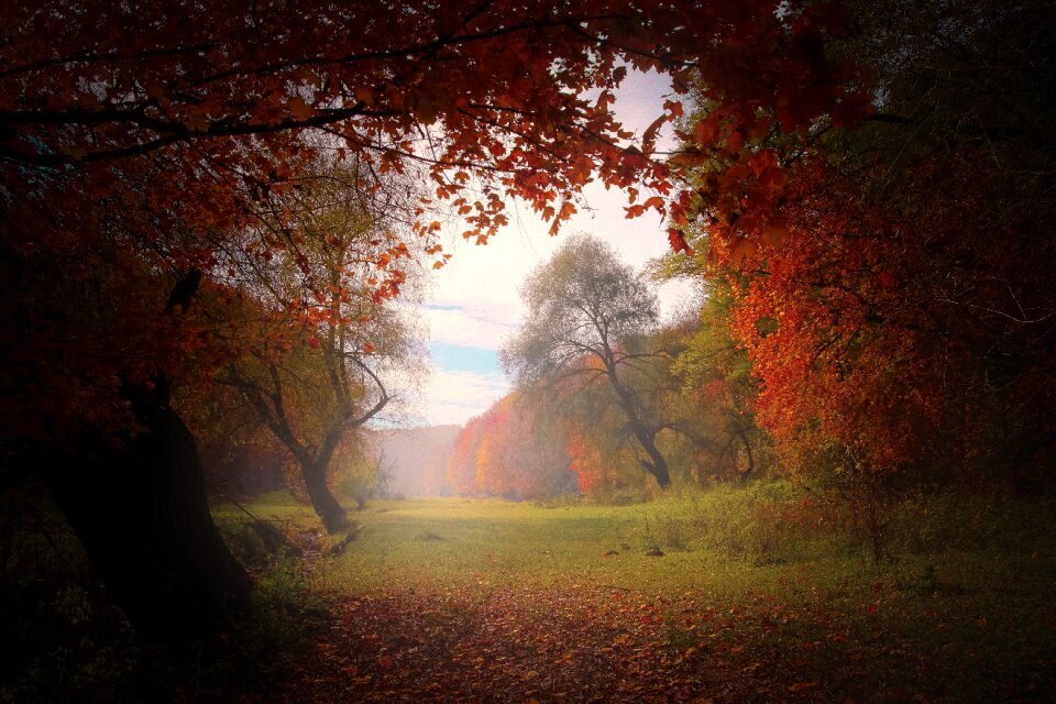 Natural landscape outdoor
