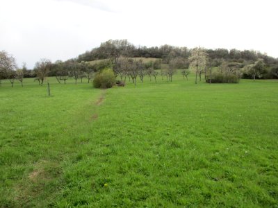 20210414Birzberg01