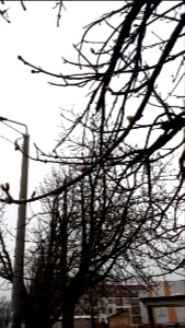 20210416_154810_April_2021_in_Białystok