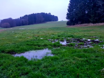20201211_FND_Reiter_Hangflachmoor7