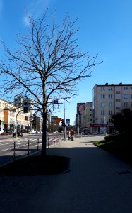 20210411_173525_Skłodowskiej-Curie_Street_in_Białystok