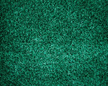 Lawn turf green photo