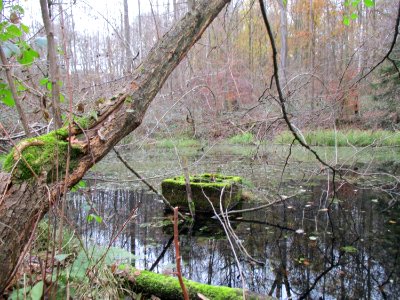 20201210Unterste_Steinbach6