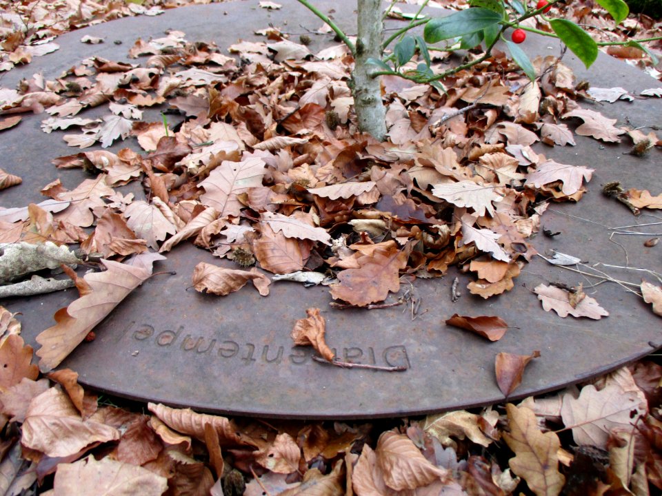 20201210Dianatempel