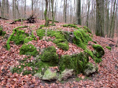 20201210Bunker_Dianenhain2