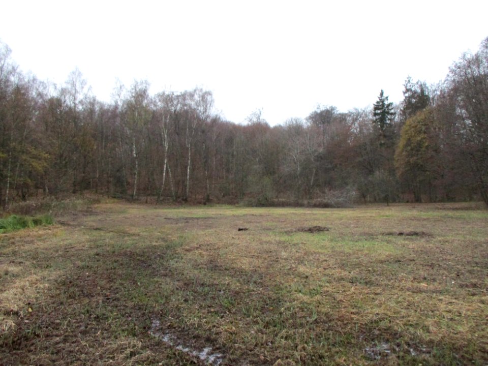 20201210Nauwies2