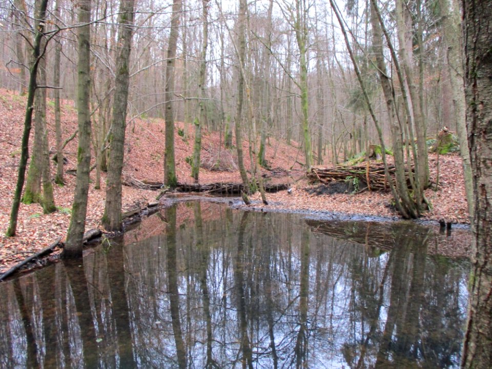 20201210Unterste_Steinbach2