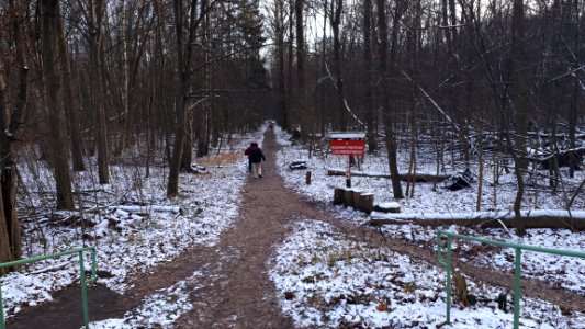 20201227_124855_Zwierzyniecki_Forest_in_Białystok