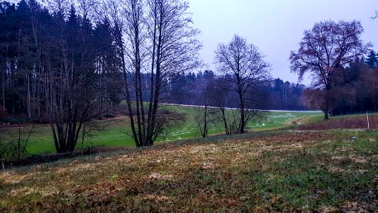 20201211_FND_Quellmoor_bei_Näglstall4_Pleisk