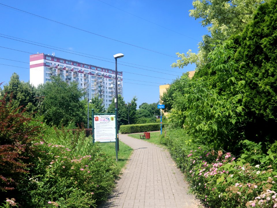 2021_Warszawa_park_Hassów,_3
