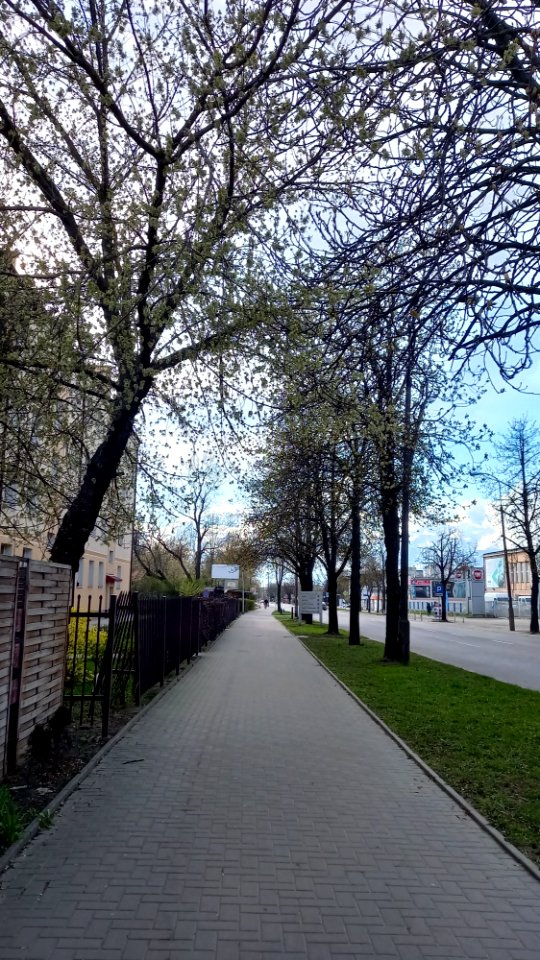 20210425_170121_Zwycięstwa_Street_in_Białystok