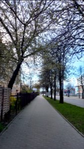 20210425_170121_Zwycięstwa_Street_in_Białystok
