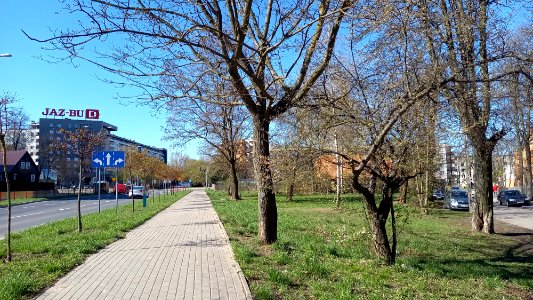 20210424_090401_Oskara_Sosnowskiego_Street_in_Białystok