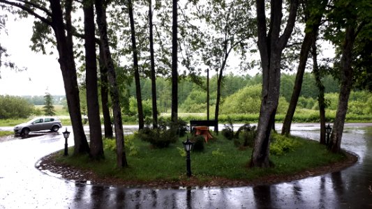 20210612_183811_June_2021_in_Białowieża
