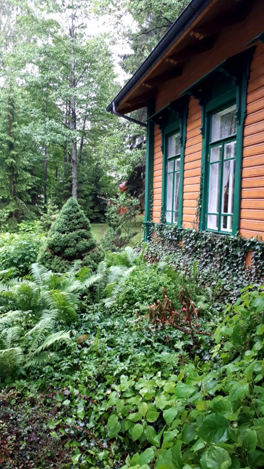 20210612_183804_June_2021_in_Białowieża