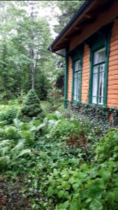 20210612_183804_June_2021_in_Białowieża