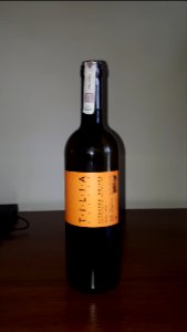 20210403_115108_Wine_of_Slovenia