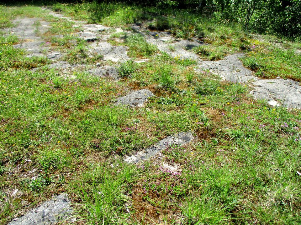 20210613Birzberg5