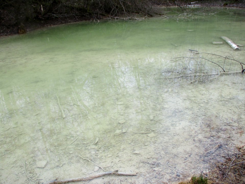 20210414Birzberg05