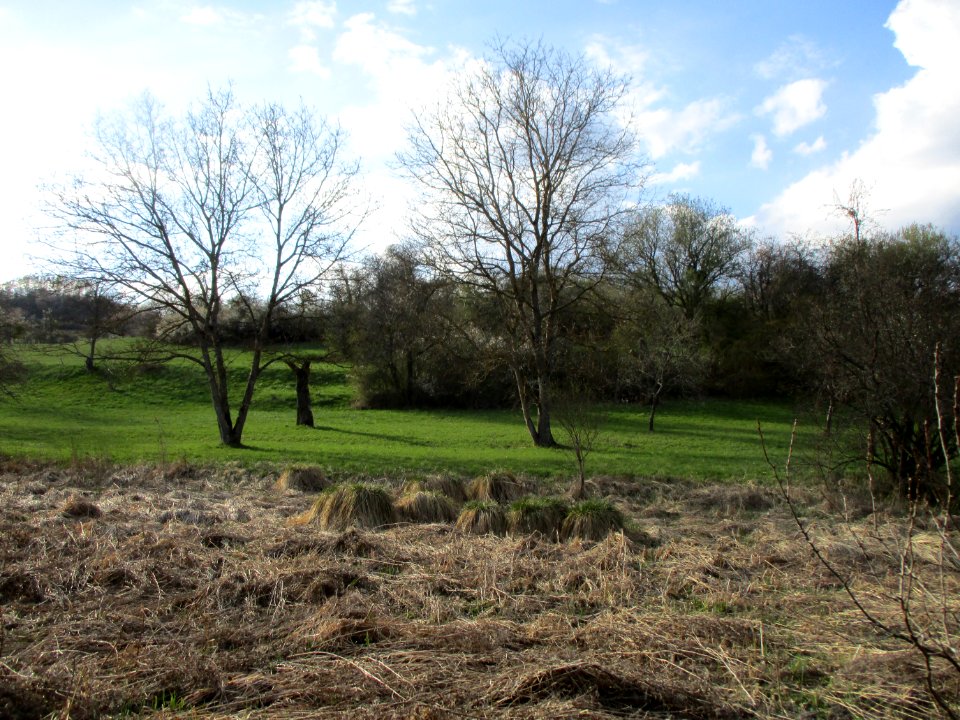 20210414Birzberg10