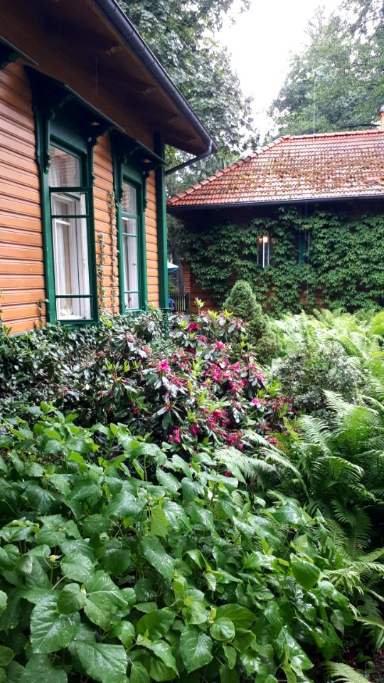 20210612_183752_June_2021_in_Białowieża