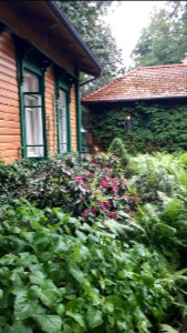 20210612_183752_June_2021_in_Białowieża