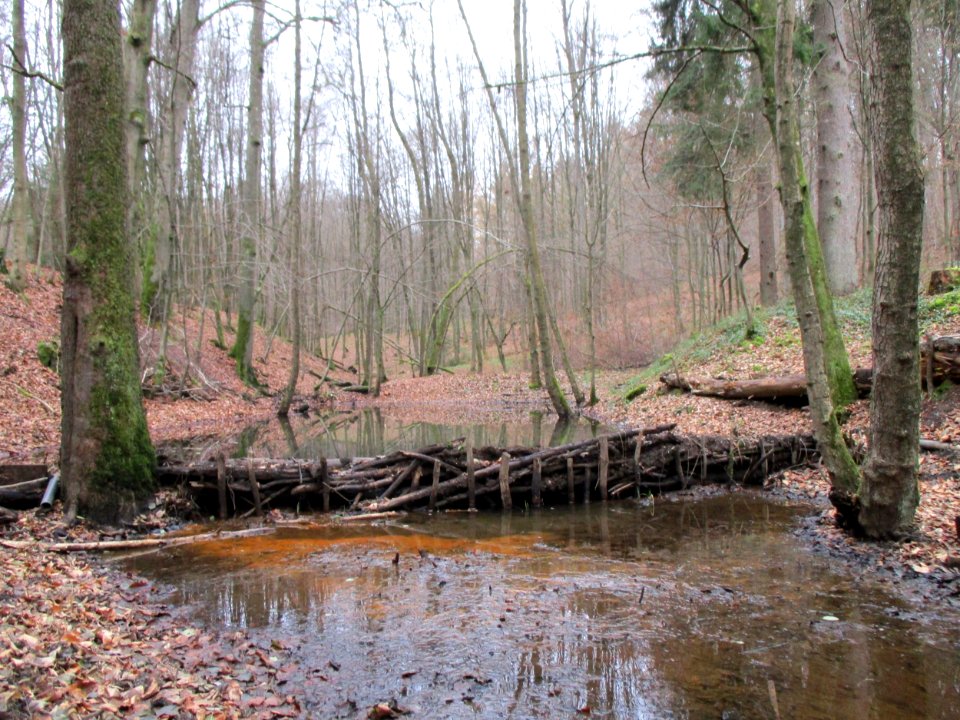20201210Unterste_Steinbach3