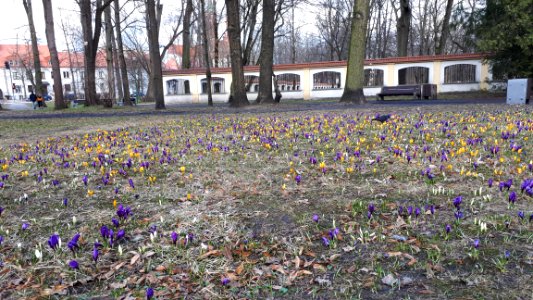 20210328_145438_March_2021_in_Białystok