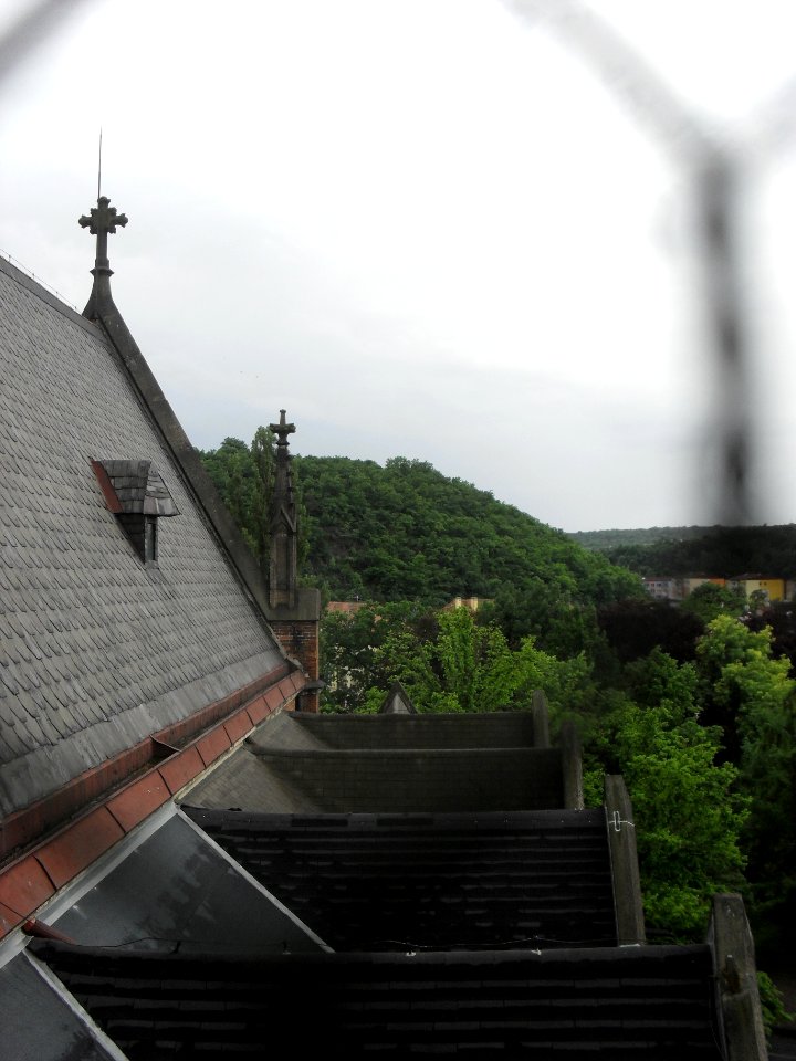 23_5_2014_NOC_KOSTELŮ_-_Kostel_sv._Alžběty_(Teplice)_(50)