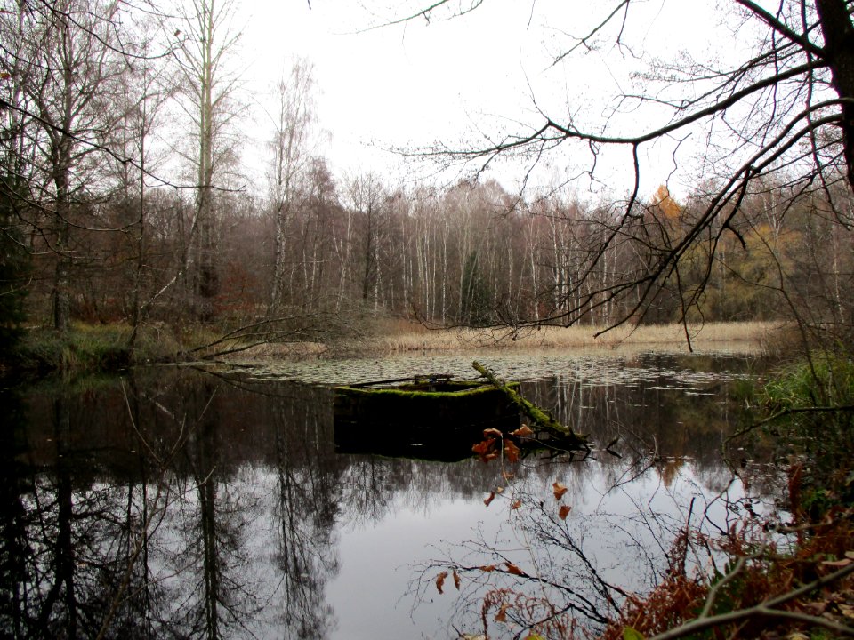 20201210Nauwies1