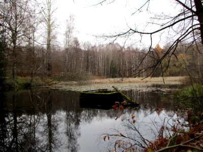 20201210Nauwies1