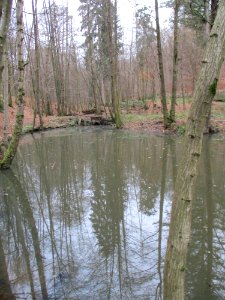 20201210Unterste_Steinbach1