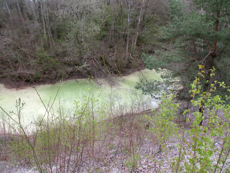20210414Birzberg04