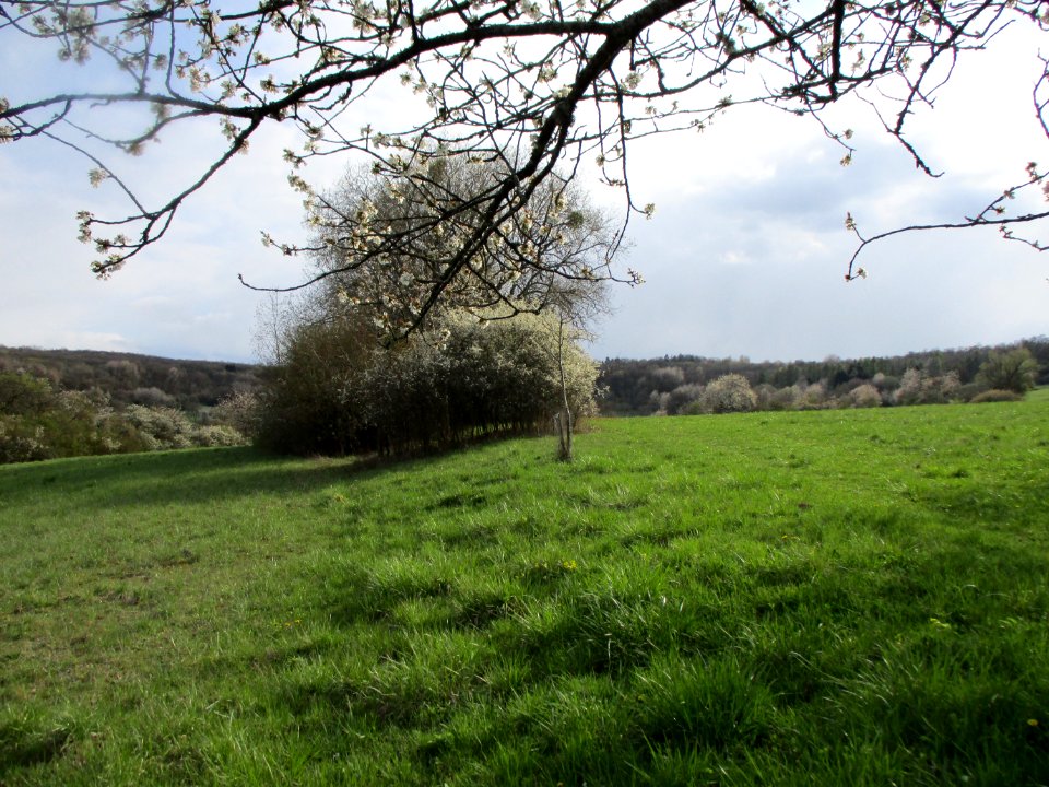 20210414Birzberg09