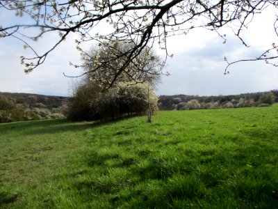 20210414Birzberg09