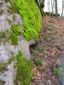 20201210Bunker_Ludwigspark2
