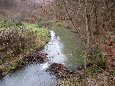 20201210Fischbach