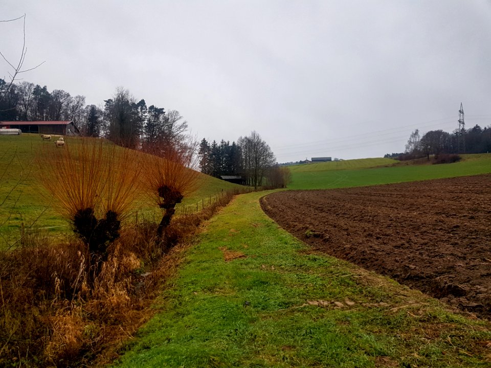 20201213_FND_Thomasbacher_Hangflachmoor_Marktl3