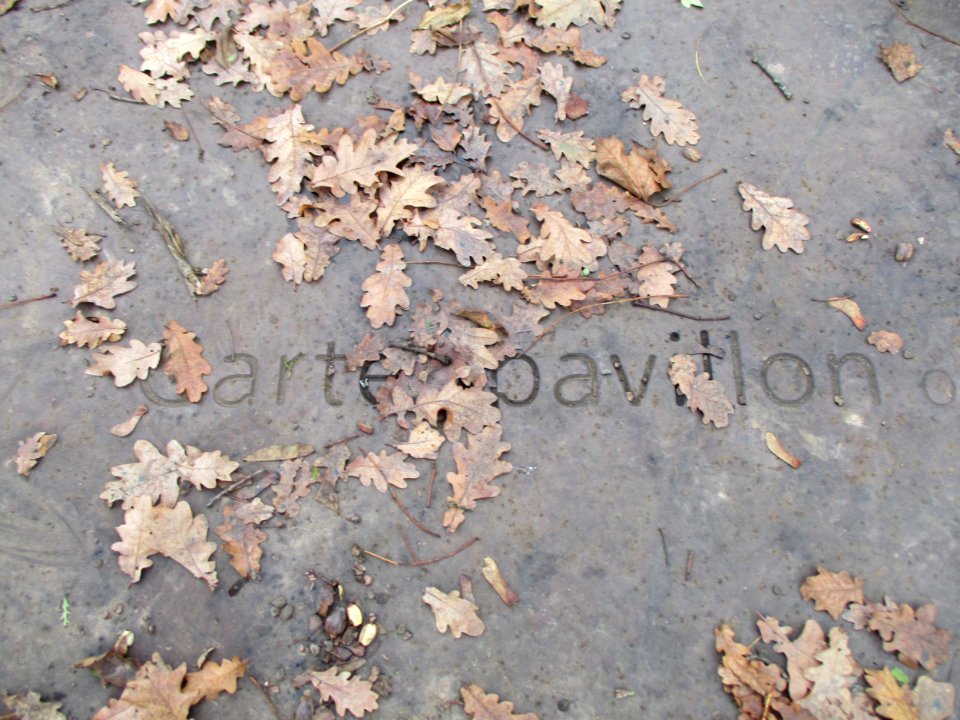 20201210Gartenpavillon_Ludwigspark