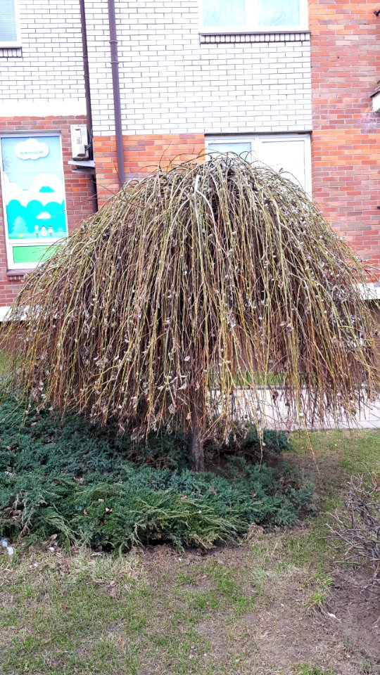 20210403_140734_April_2021_in_Białystok