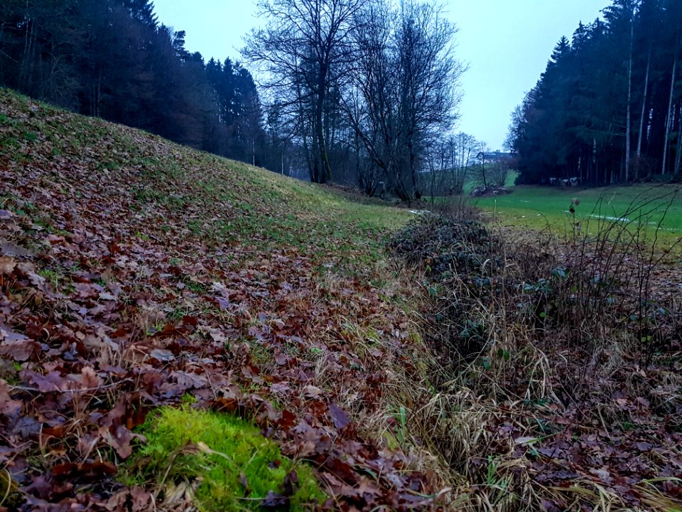 20201211_FND_Quellmoor_bei_Näglstall1_Pleisk