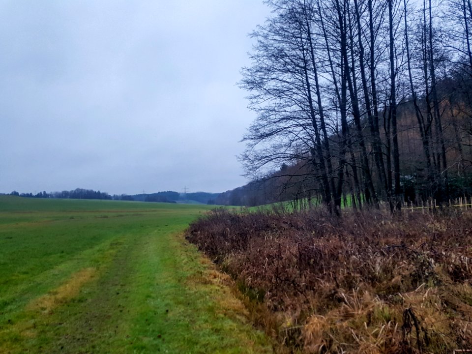 20201213_FND_Thomasbacher_Hangflachmoor_Marktl