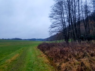 20201213_FND_Thomasbacher_Hangflachmoor_Marktl