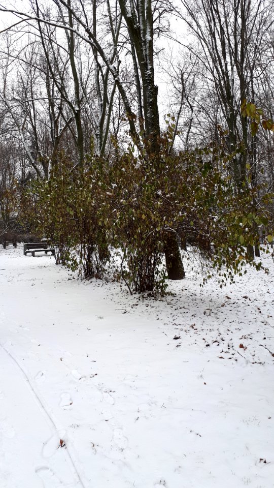 20201213_130255_Park_Centralny_in_Białystok