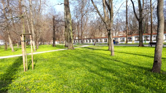 20210411_162051_Kościałkowski_boulevards_in_Białystok